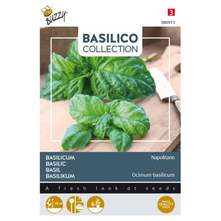 Neapolitan Basil (Napolitano Basil) - Buzzy Basilicum Napolitano