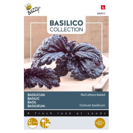 Red Lettuce‑Leaf Basil - Buzzy Basilicum Rode slabladige