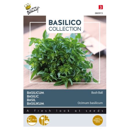 Greek Basil (Bush Basil) - Buzzy Basilicum Greek Basil Bush Ball