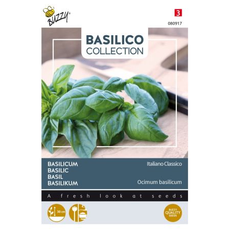 Italian Basil (Sweet Basil) - Buzzy Basilicum Italiano Classico