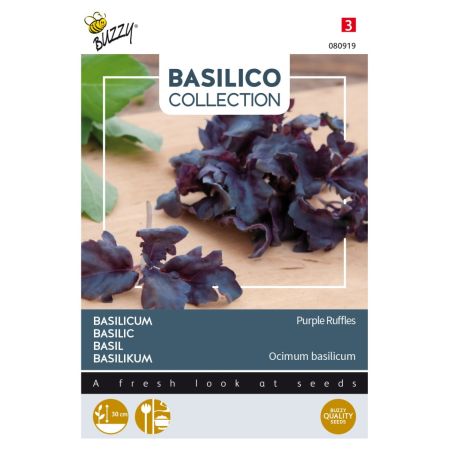 Purple Ruffles Basil - Buzzy Basilicum Purple Ruffles