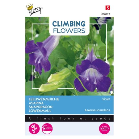 Climbing Snapdragon - Buzzy Climbing Flowers, Asarina Violet
