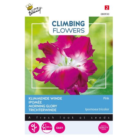 Morning Glory - Buzzy Climbing Flowers, Ipomoea Dubbel Rose