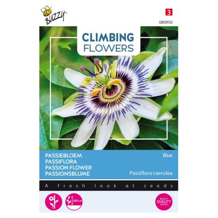 Blue Passionflower - Buzzy Climbing Flowers, Passiebloem Blauw
