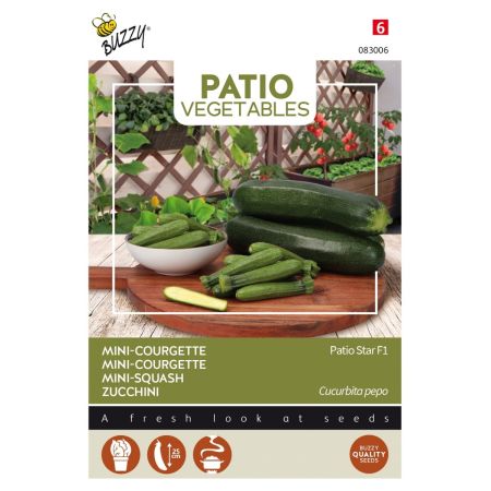 Patio Courgette (Zucchini) - Buzzy Patio Veggies, Courgette Patio Star F1