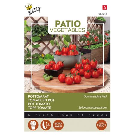 Gourmandise Red Tomato (Patio Tomato) - Buzzy Patio Veggies, Tomaat Gourmandise Red