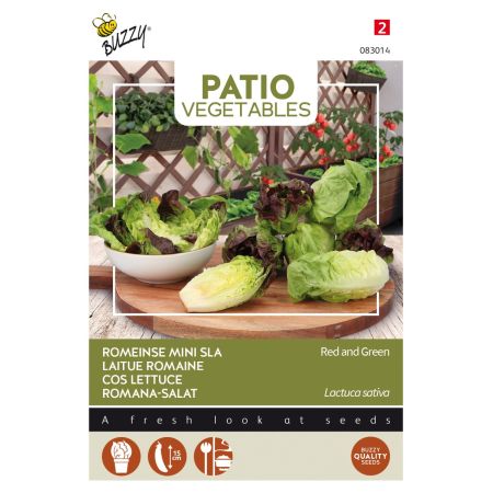Mini Romaine Lettuce (Mixed) - Buzzy Patio Veggies, Romeinse Mini-sla (gemengd)