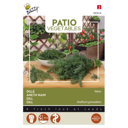 Dwarf Dill - Buzzy Patio Veggies, Dille nano