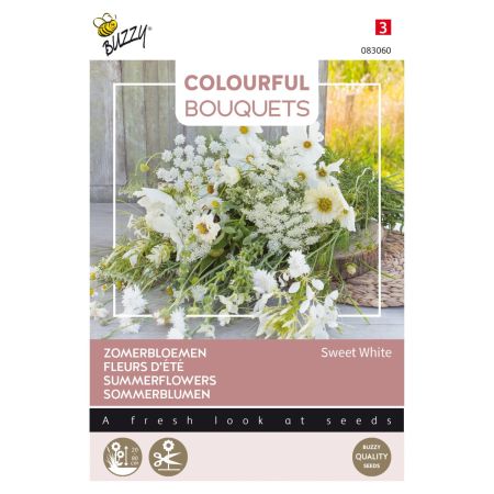 Sweet Alyssum - Buzzy Colourful Bouquets, Sweet White