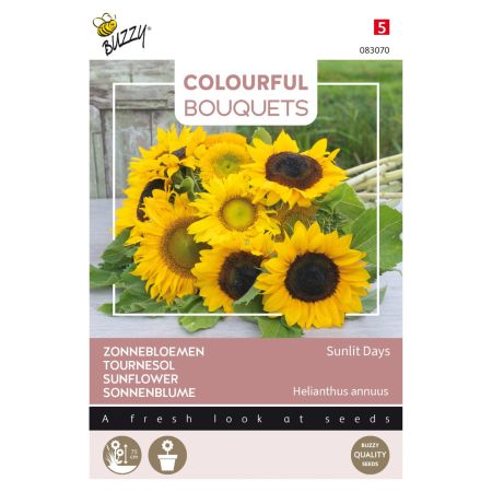 Sunflower - Buzzy Colourful Bouquets, Sunlit Days, zonnebloem