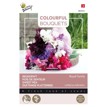 Sweet Pea - Buzzy Colourful Bouquets, Royal Family (lathyrus)