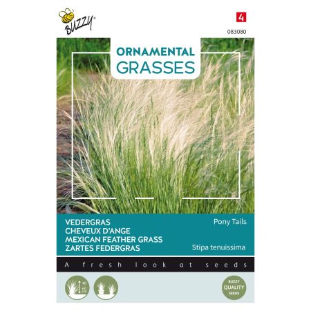 Mexican Feather Grass (Nassella Tenuissima) - Commonly Called Feather Grass Or Ponytail Grass - Buzzy Ornamental Grasses, Vedergras Pony tails