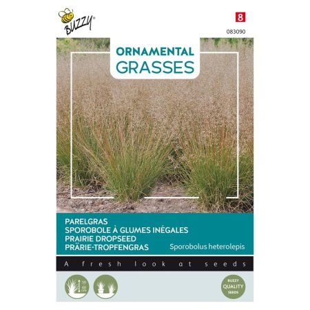 Buzzy Ornamental Grasses, Parelgras