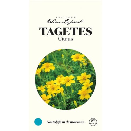 Marigold - Tagetes Citrus - Wim Lybaert Zaaigoed
