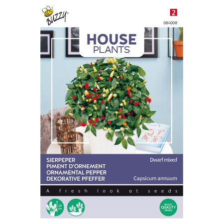 Ornamental Pepper (Dwarf Ornamental Pepper) - Buzzy House Plants Sierpeper, Dwarf mixed