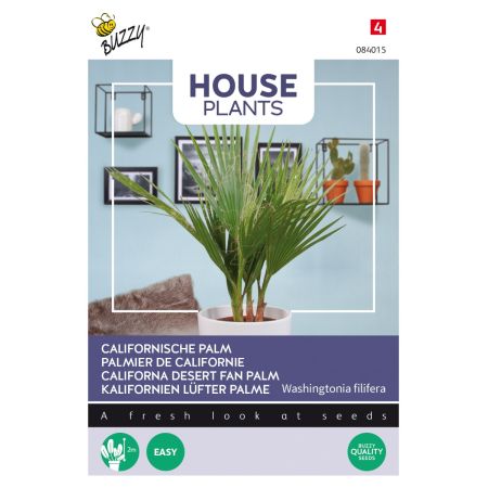 California Fan Palm - Buzzy House Plants Californische palm