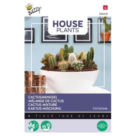 Cactus Mix (Seed Mix) - Buzzy House Plants Cactus mengsel