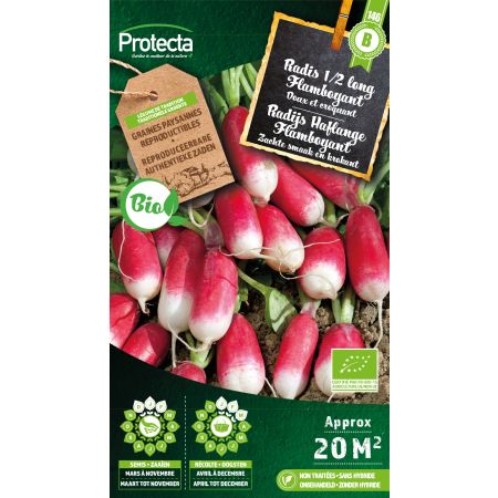 Radish 1/2 long Flamboyant BIO - Protecta seeds bäuerl