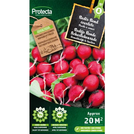 Radish round scarlet - Protecta Samen bäuerl