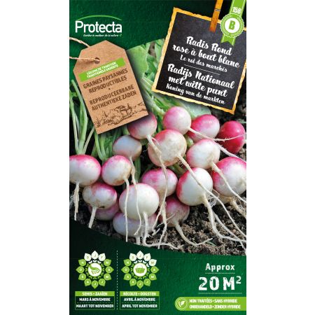 Radish round pink with white tip - Protecta Samen bäuerl