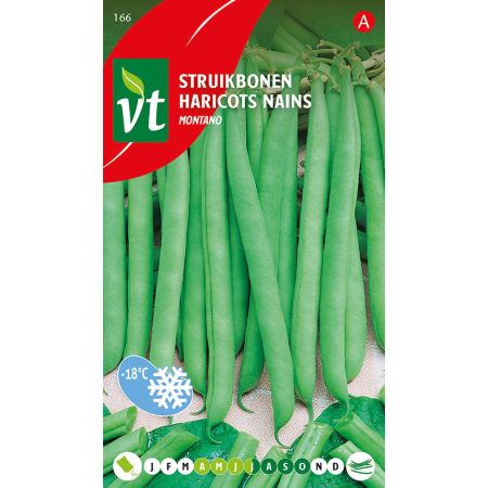 Montano Bush Bean - Boon Struikboon Montano