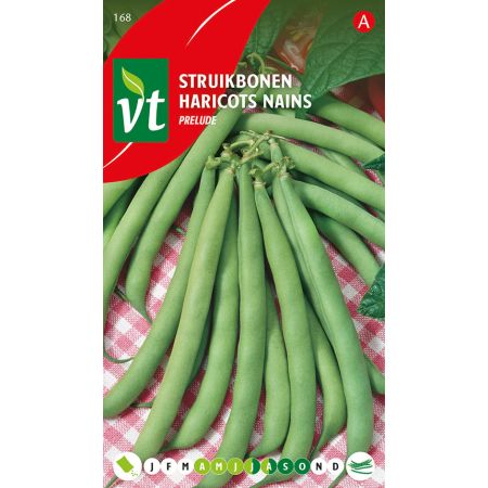 Prelude Bush Bean - Boon Struikboon Prelude