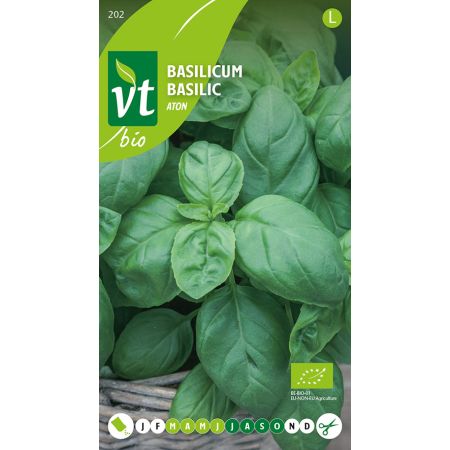 Sweet Basil (Basil) - Basilicum Aton