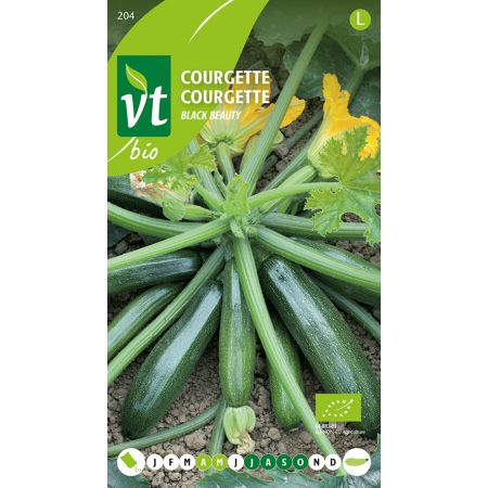 Black Beauty Courgette (Aka Black Beauty Zucchini) - Courgette Black Beauty Bio