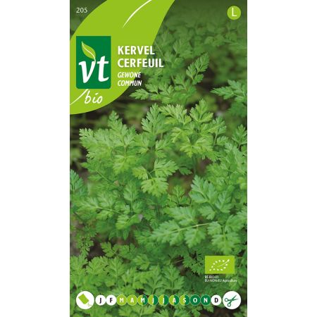 Chervil (French Chervil) - Kervel Gewone Bio