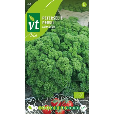 Green Pearl Parsley - Peterselie Grüne Perle Bio