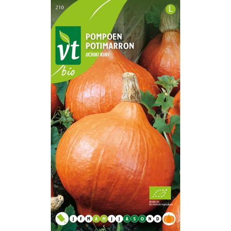 Red Kuri Squash (Hokkaido Squash) - Pompoen Uchiki Kuri Bio