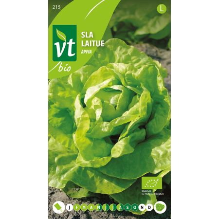Appia Lettuce - Sla Appia Bio