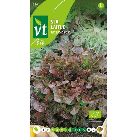 Red Salad Bowl Lettuce - Sla Red Salad Bowl Bio
