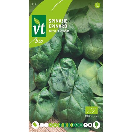 Spinach - Spinazie Palco F1 hybride Bio