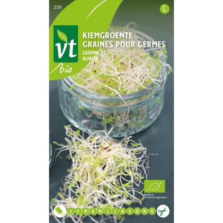 Alfalfa Sprouting Seeds