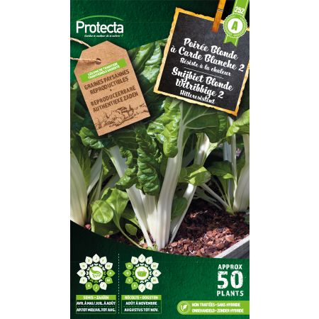 Poirée Blonde à Carde Blanche 2 - Protecta seeds bäuerl
