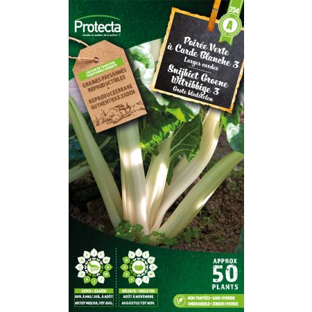 Poirée Verte à Carde Blanche 3 - Protecta seeds bäuerl