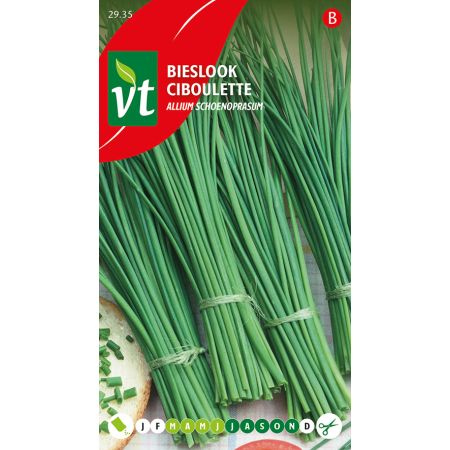 Chives - Bieslook
