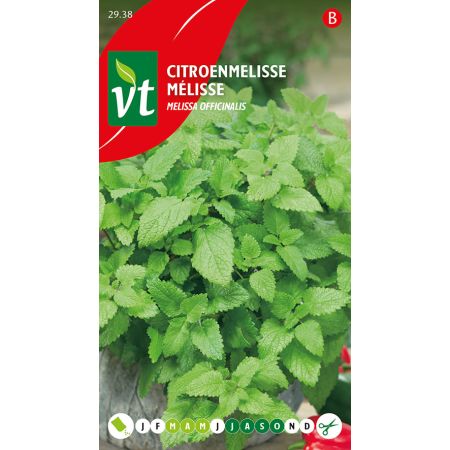 Lemon Balm - Citroenmelisse