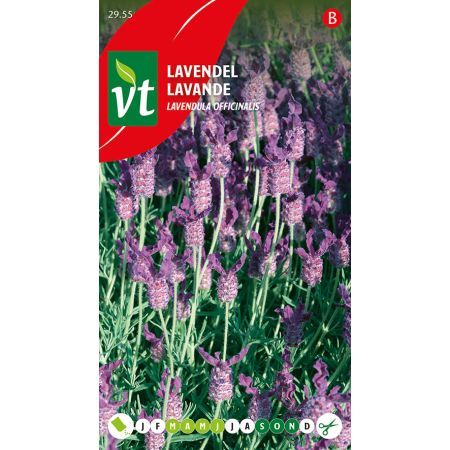 Lavender - Lavendel