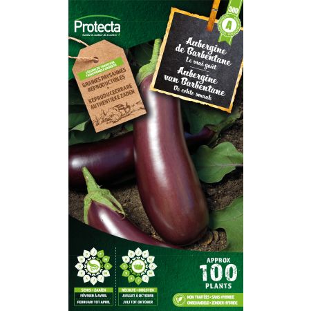Aubergine de Barbentane - Protecta seeds farmerl