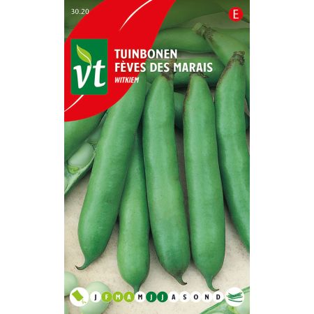 Broad Bean (Fava Bean) - Bonen Tuinbonen Witkiem
