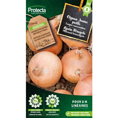 Onion Straw yellow - Protecta seeds farmerl