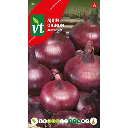 Brunswick Onion - Ajuin Brunswijker