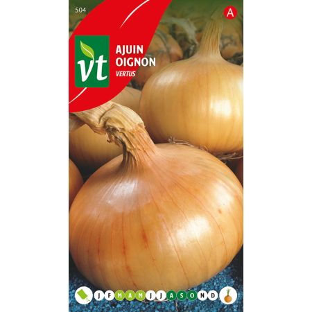 Vertus Onion (Common Onion) - Ajuin Vertus