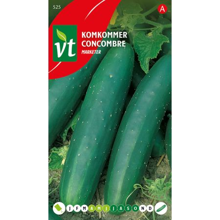 Marketer Cucumber - Komkommer Marketer