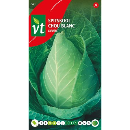 Pointed Cabbage (Cultivar 'Express') - Spitskool Express