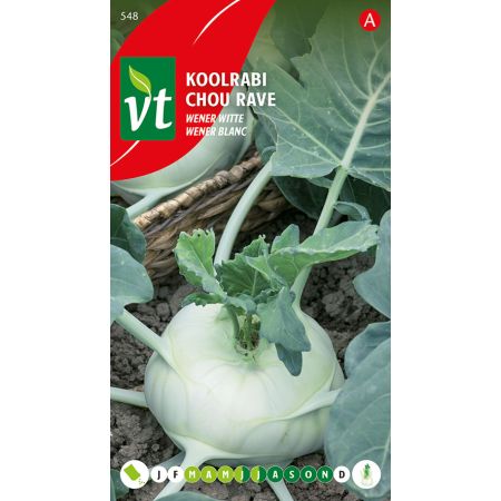 Kohlrabi (Vienna White Kohlrabi) - Koolrabi Wener witte