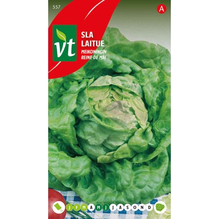 May Queen Lettuce - Sla Meikoningin