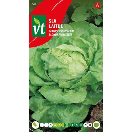 Late-Bolting Lettuce - Sla Laatdoorsschietende